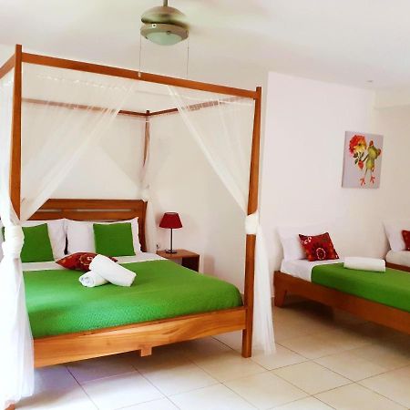 Casa Mapache Otel Tamarindo Dış mekan fotoğraf