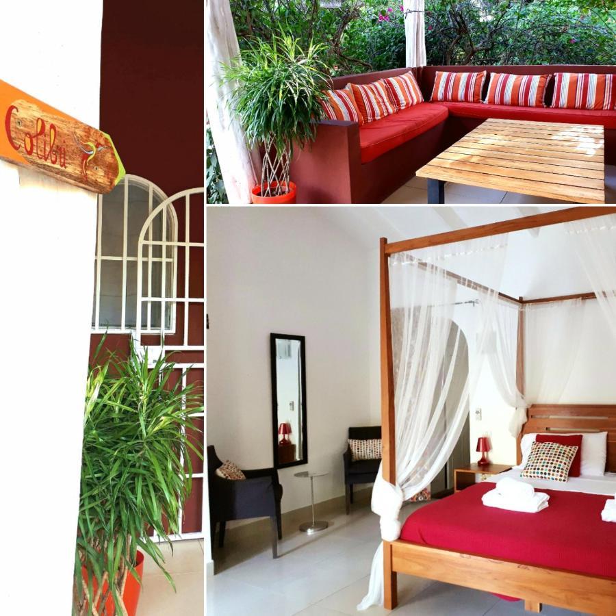Casa Mapache Otel Tamarindo Dış mekan fotoğraf