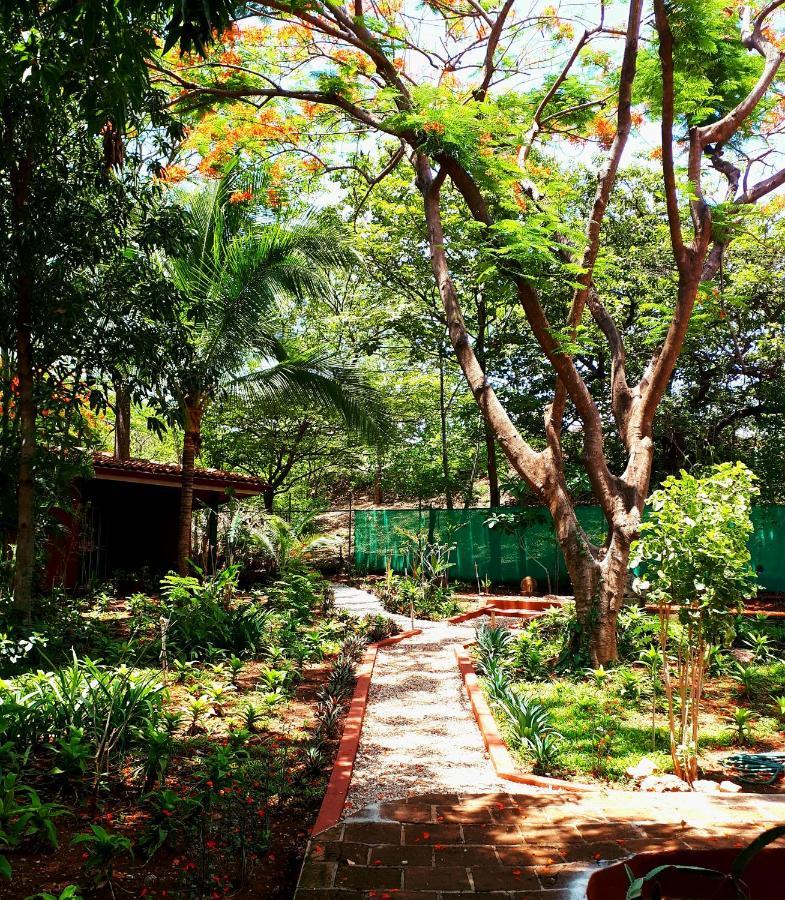Casa Mapache Otel Tamarindo Dış mekan fotoğraf