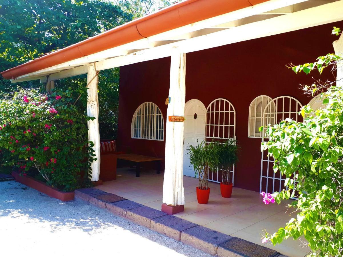 Casa Mapache Otel Tamarindo Oda fotoğraf