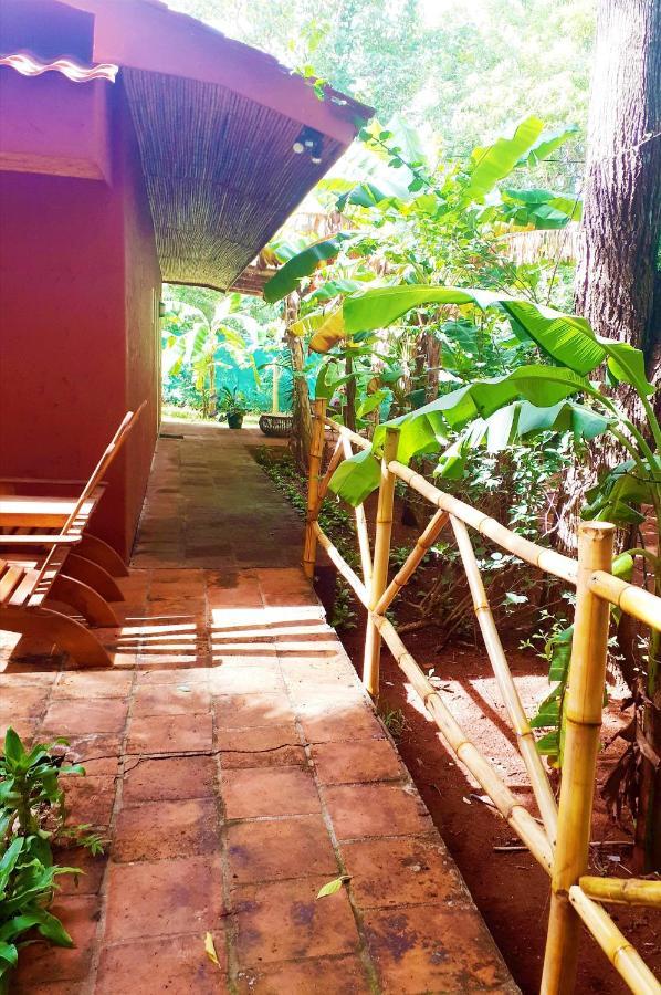 Casa Mapache Otel Tamarindo Dış mekan fotoğraf
