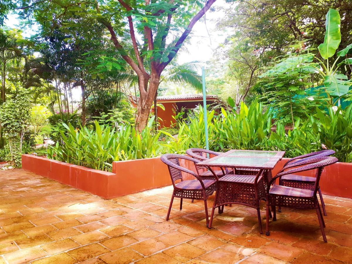 Casa Mapache Otel Tamarindo Dış mekan fotoğraf