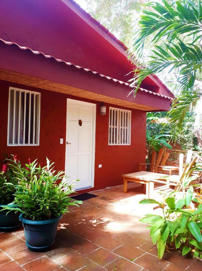 Casa Mapache Otel Tamarindo Dış mekan fotoğraf