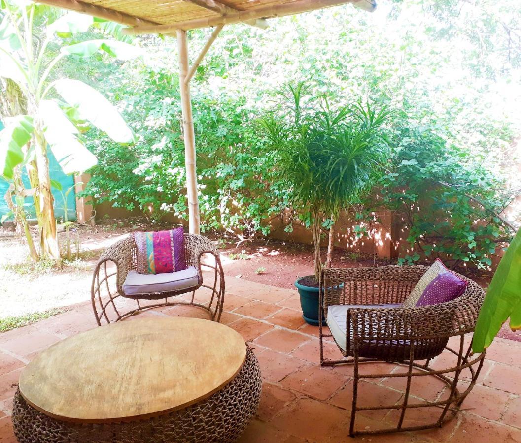 Casa Mapache Otel Tamarindo Dış mekan fotoğraf