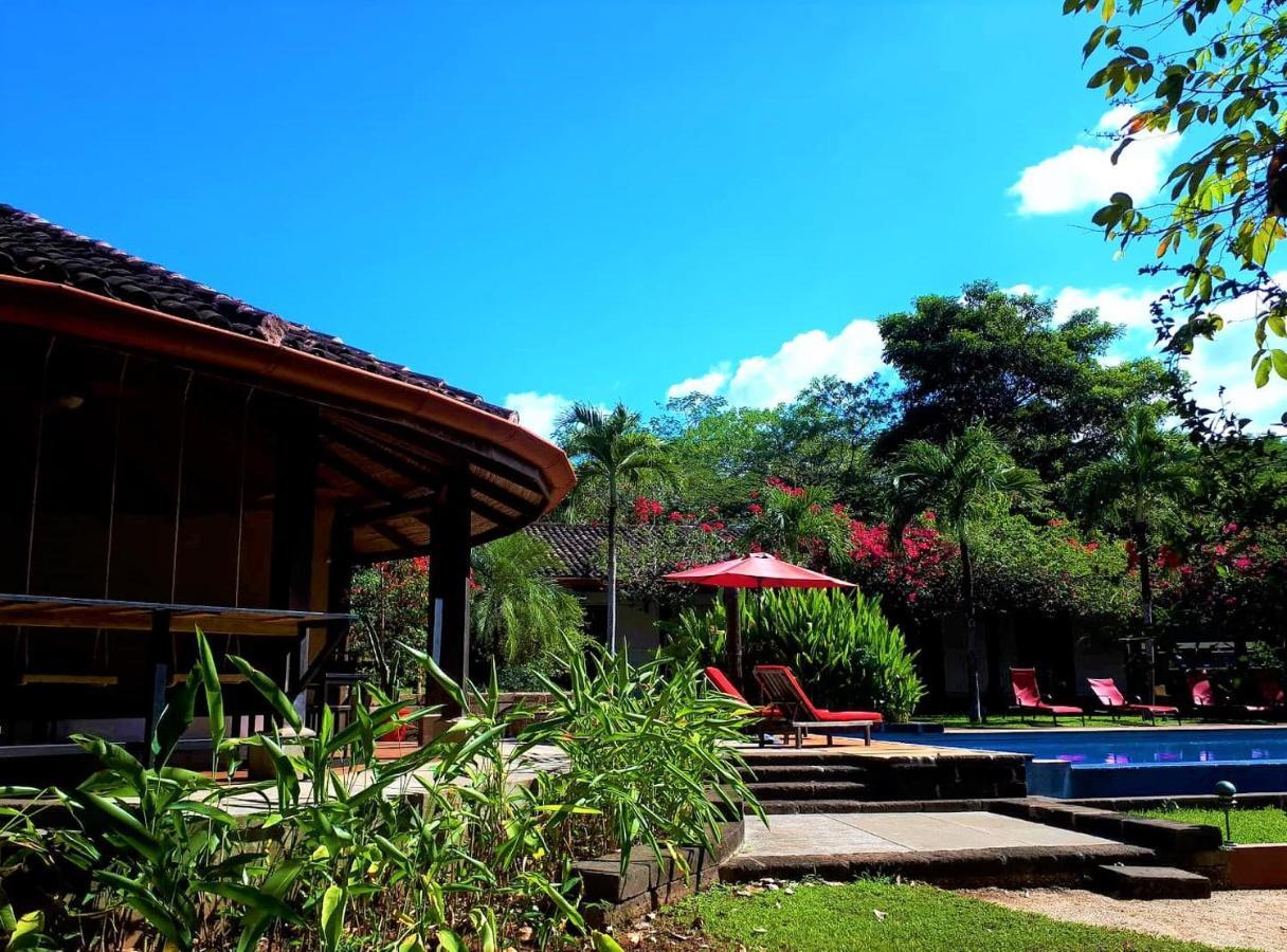 Casa Mapache Otel Tamarindo Dış mekan fotoğraf