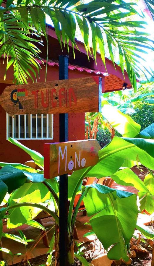 Casa Mapache Otel Tamarindo Dış mekan fotoğraf