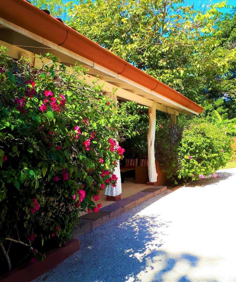Casa Mapache Otel Tamarindo Dış mekan fotoğraf