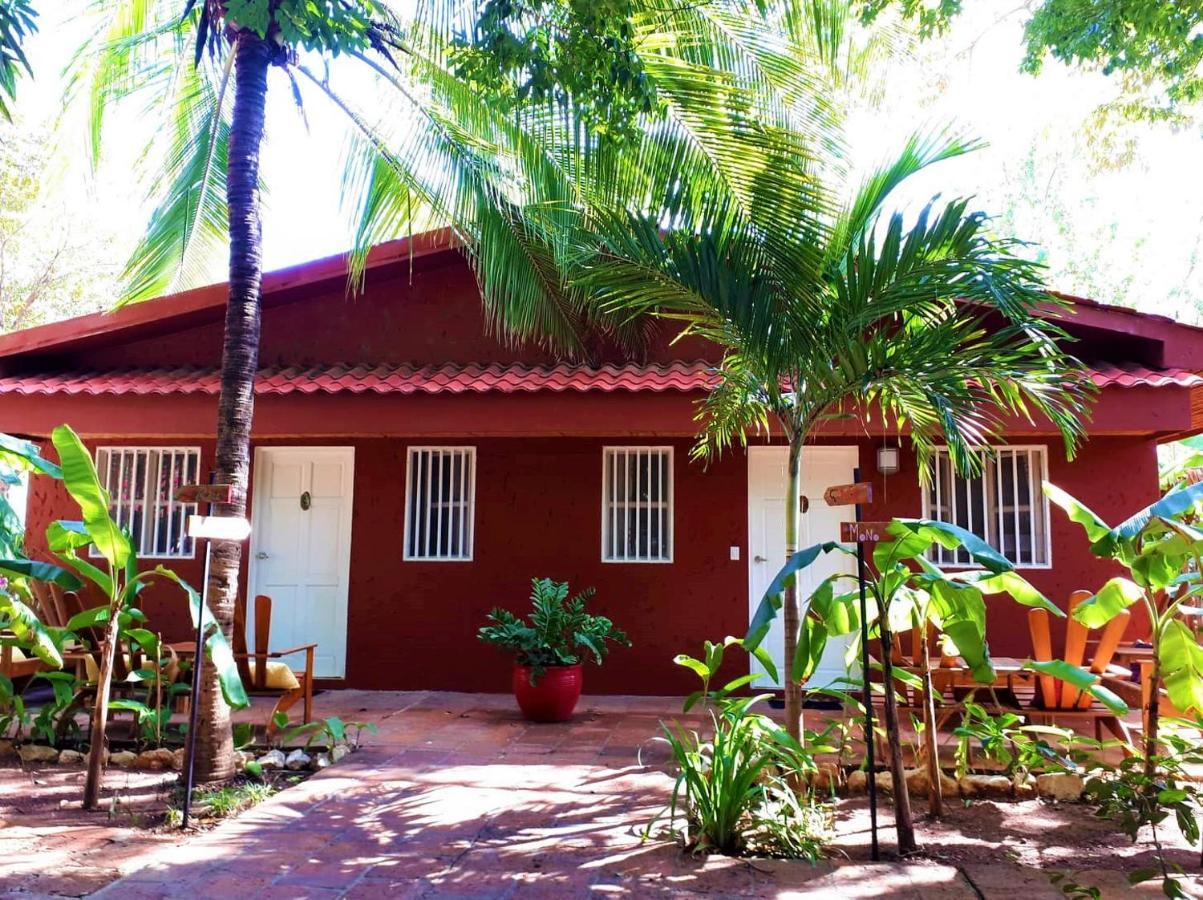 Casa Mapache Otel Tamarindo Dış mekan fotoğraf